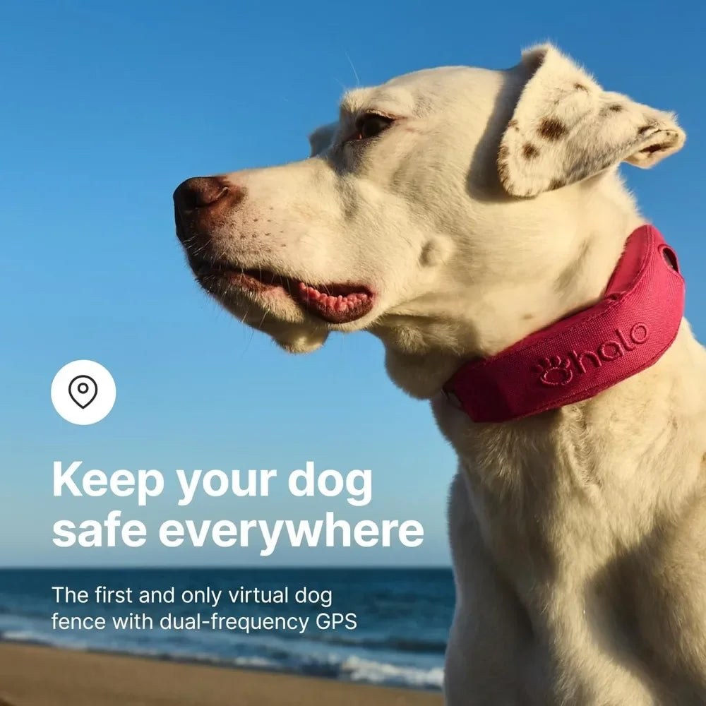 New Premium GPS Wireless Dog Fence & Dog Training Collar with GPS Tracker, Subscription Required, Waterproof, One Size
