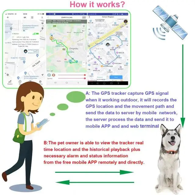 All-in-one Smart 4G GPS Pet Tracker Collar- Real-Time Location, App-Controlled Wireless Fence