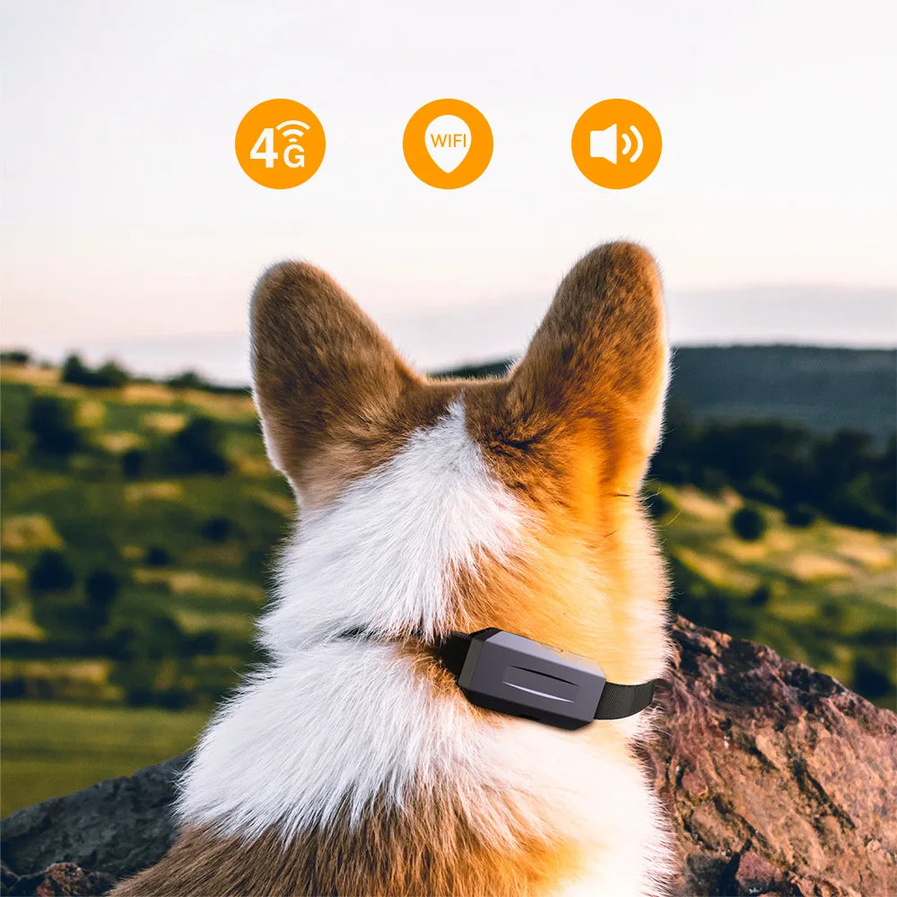 Advanced All-in-one Pet GPS Collar- Virtual Fence & Real-Time Tracking for Large Dogs & Cats