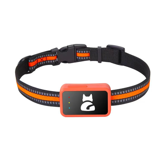 All-in-one Smart 4G GPS Pet Tracker Collar- Real-Time Location, App-Controlled Wireless Fence