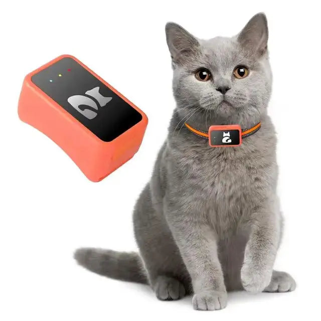 All-in-one Smart 4G GPS Pet Tracker Collar- Real-Time Location, App-Controlled Wireless Fence